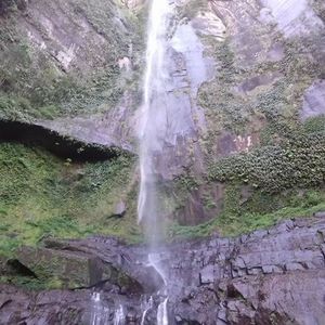 Meet your Posher, Richard